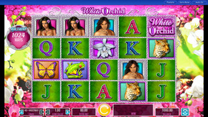 White Orchid free slot